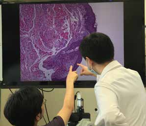 病理カンファレンスの様子