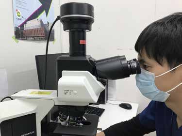 顕微鏡での病理組織観察